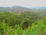 Deal's gap