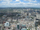 View from the tower