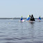 IMG_4884.JPG