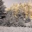 DSC01269.JPG