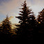 DSC01270.JPG