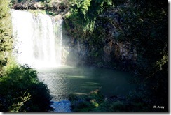 Morning @ Dangar Falls NSW IMGP3257