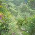 DSCN0307.JPG, Our Trip to Italy