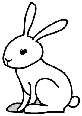 [rabbit_12.jpg]