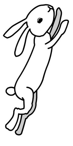 [rabbit_3[9].jpg]