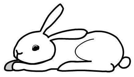 [rabbit_5[11].jpg]