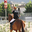 2009 - ProveDelCavaliere2009
