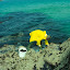 pêche oursin 046.jpg pêche oursin 046.jpg