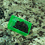 pêche oursin 028.jpg pêche oursin 028.jpg
