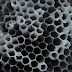 DSC01012.JPG