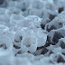 DSC01009.JPG