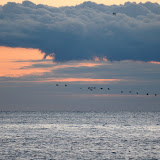 U2/ Beautiful Day/ Virginia Beach Dredging/ Nature And Man VirginiaBeachEarlyMorning U2/ Beautiful Day/ Virginia Beach Dredging/ Nature And Man