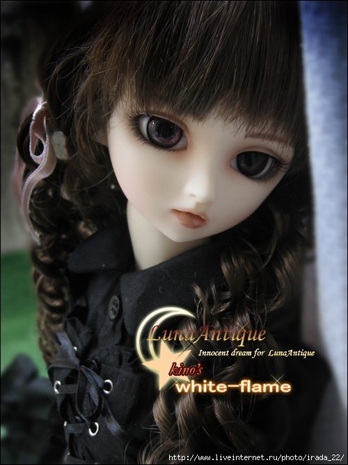 [5ec8653a578ac432dba6542711174b4a[4].jpg]