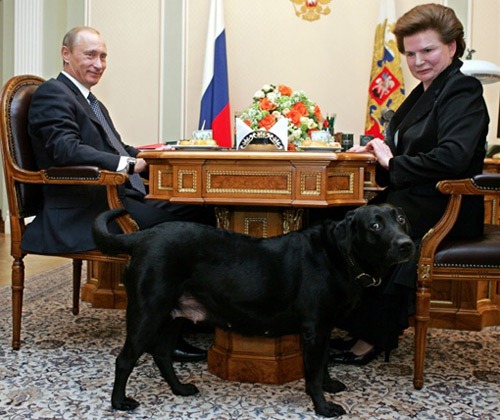 [000_par1187072_500[4].jpg]