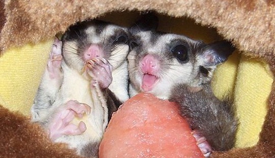 [clip_image026[4].jpg]