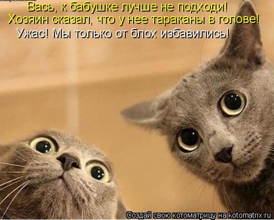 [clip_image023[4].jpg]