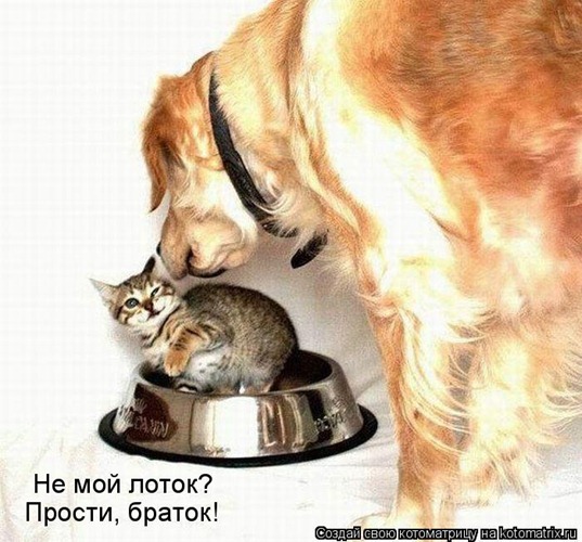 [clip_image030[4].jpg]