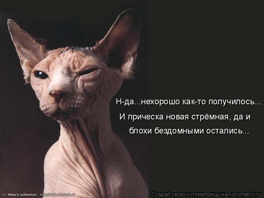 [clip_image037[4].jpg]