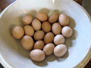 [image[7].png]