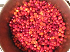 Jellied cranberry sauce cooking skins popping1 Jellied cranberry sauce cooking skins popping1