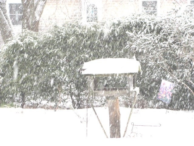 [1 snowstorm2. 12.26.2010[3].jpg]