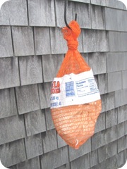 Erosion bundle hanging off porch