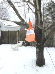 Erosion bundle hanging from tree