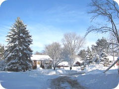 1.27.11 snowstorm sideyard3