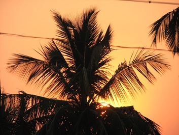 IMG_1339 IMG_1339