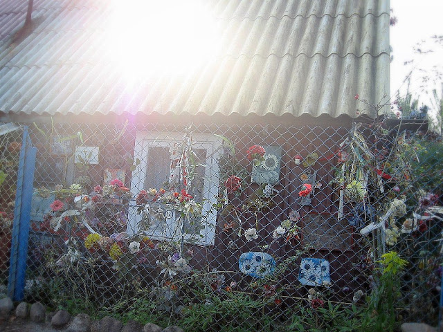 Mgła 11