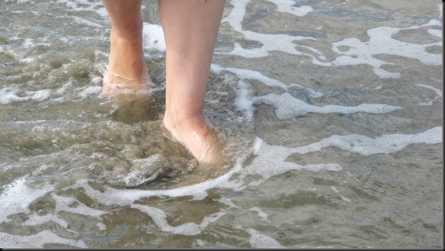 lucy's feet lucy's feet