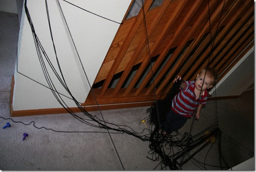 2010-10-28 Kahlen's Spider Web (9)
