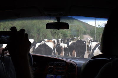 Traffic Jam