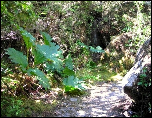 IMG_0724 IMG_0724