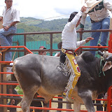 DSC_0175.JPG