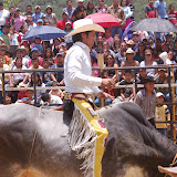 DSC_0176.JPG