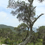 DSC02720.JPG