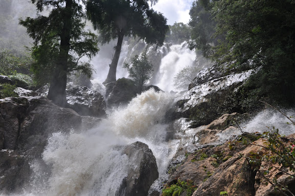 DSC_0274.JPG