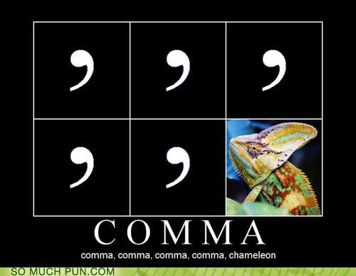 a funny pun of comma comma chameleon