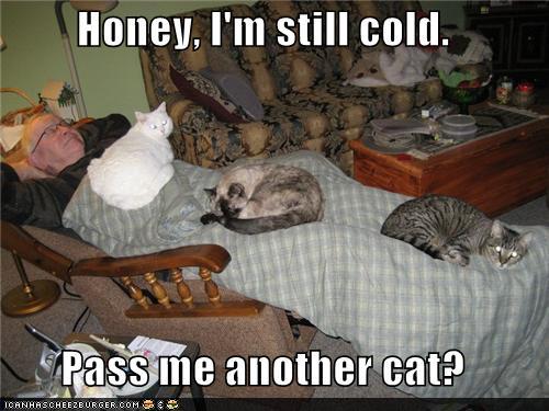photo of a man laying down with a bunch of cats on him