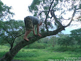 nomad4ever_java_baluran_CIMG5183.jpg