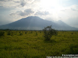 nomad4ever_java_baluran_CIMG5153.jpg