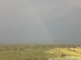 nomad4ever_java_baluran_CIMG5172.jpg