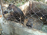 nomad4ever_philippines_palawan_nagtoban_CIMG2093.jpg