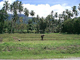 nomad4ever_philippines_camiguin_CIMG0384.jpg