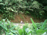 nomad4ever_philippines_camiguin_CIMG0388.jpg