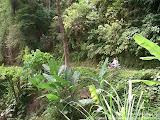 nomad4ever_philippines_camiguin_CIMG0389.jpg