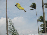 nomad4ever_indonesia_pulau_bintan_IMG_2716.jpg
