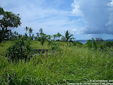 nomad4ever_indonesia_sulawesi_pulau_gangga_CIMG2653.jpg