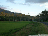 nomad4ever_indonesia_sulawesi_manado_bunaken_CIMG2463.jpg